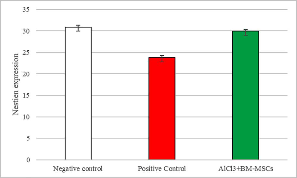 The Effect of Bone Marrow Mesenchymal Stem Cells on Nestin and Sox  