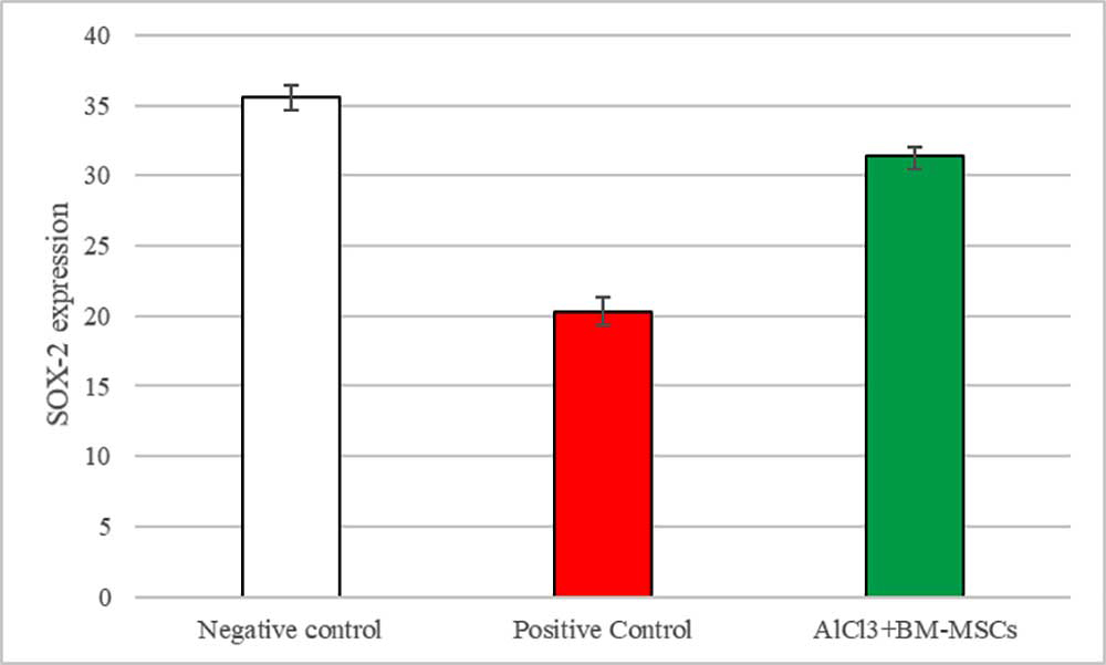 The Effect of Bone Marrow Mesenchymal Stem Cells on Nestin and Sox  